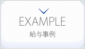 EXAMPLE -給与事例-